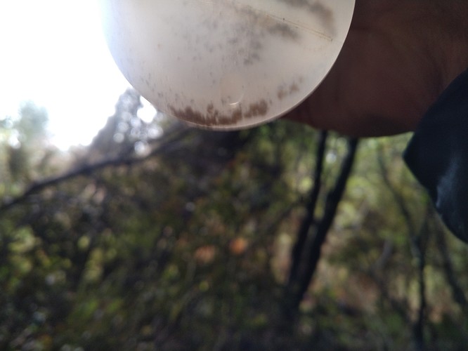 bottle