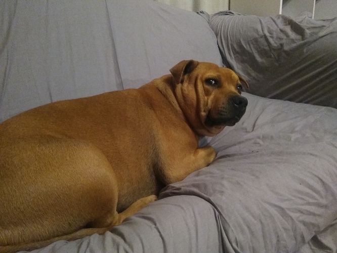 15373439585405796206632273719841