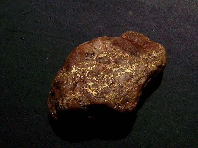 coro gold speci 6