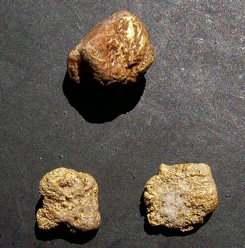 coro gold specis