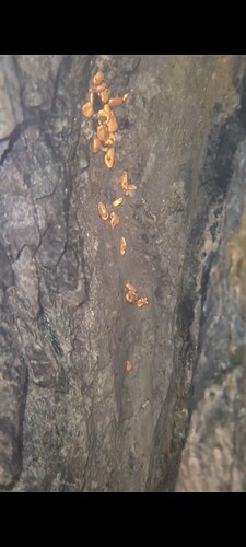 Screenshot_20230713_072402_Photos