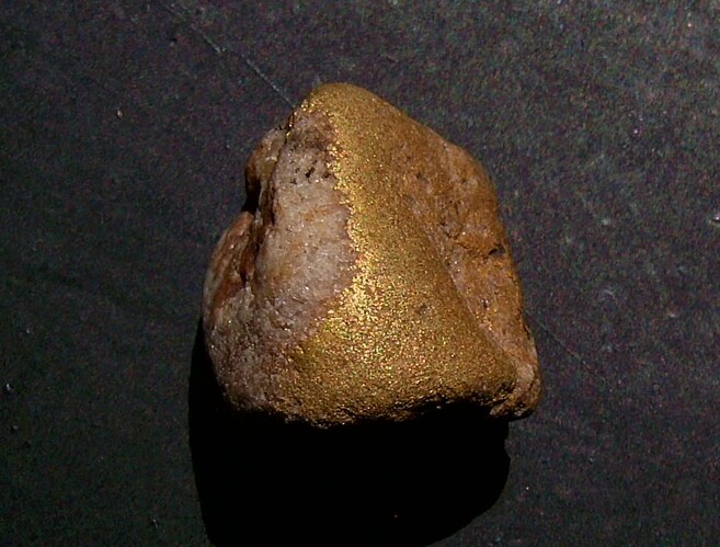 coro gold speci 4
