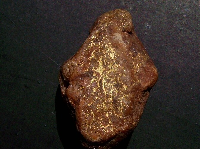 coro gold speci 5