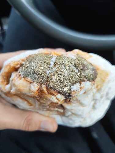 IMG_20251215_145543930