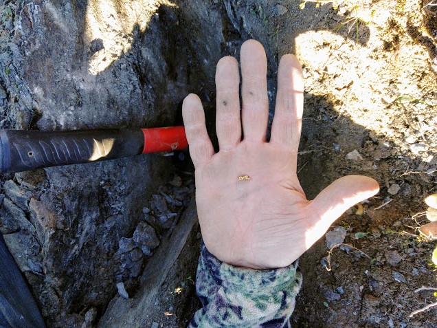 IMG_20200531_145336 (1)